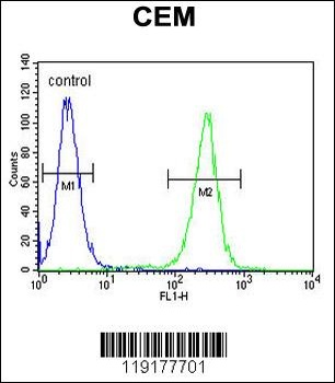 MSI1 Antibody