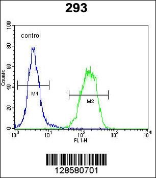 PCOTH Antibody