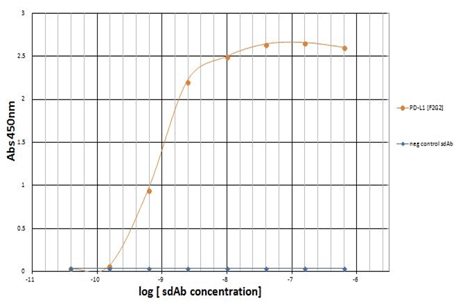PD-L1 Single Domain Antibody [F2G2]