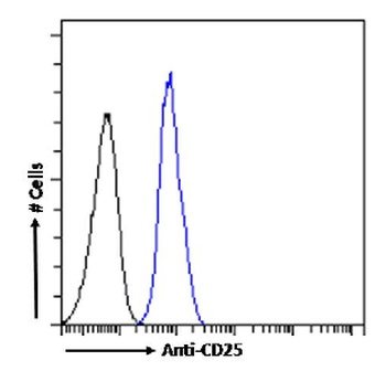 CD25 Antibody [2E4], Rabbit IgG