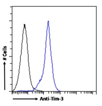 Tim-3 Antibody [2C12], Rabbit IgG