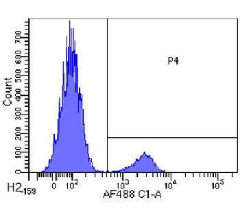CD22 Antibody [hL22 (Epratuzumab)], Rabbit IgG - Research Grade Biosimilar