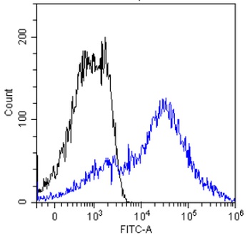 MUC1 Antibody [HMFG2], Rabbit IgG