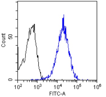 EGFR Antibody [Matuzumab], Rabbit IgG - Research Grade Biosimilar