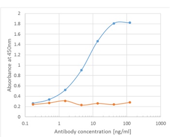 EGFR Antibody [Matuzumab], Human IgG1 - Research Grade Biosimilar