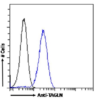 TAGLN Antibody [SAIC-33B-129], Rabbit IgG