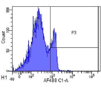 CD4 Antibody [MT310], Rabbit IgG