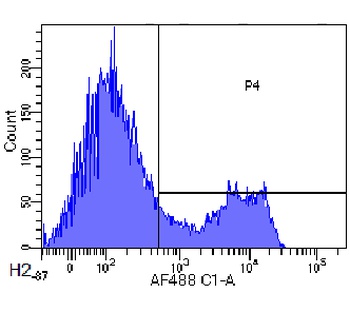CD3 epsilon Antibody [500A2], Rabbit IgG