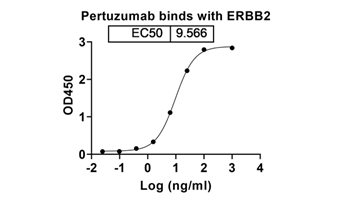Pertuzumab (ERBB2/EGFR2/CD340) - Research Grade Biosimilar