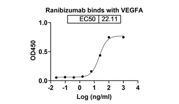Ranibizumab (VEGFA) - Research Grade Biosimilar