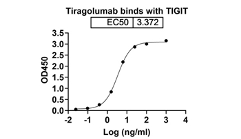 Tiragolumab (TIGIT/VSIG9/VSTM3) - Research Grade Biosimilar