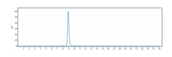 Anti-VEGFR2 / KDR / CD309 Reference Antibody (olinvacimab)