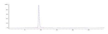 Anti-OX2R / CD200R1 Reference Antibody (Janssen patent anti-CD200R1)