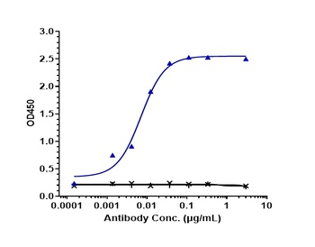 Anti-VEGFR2 / KDR / CD309 Reference Antibody (ramucirumab)