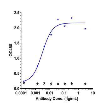Anti-VEGFA Reference Antibody (bevacizumab)