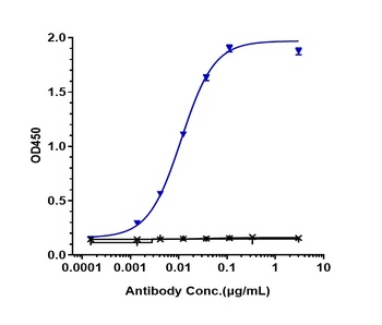 Anti-FOLR1 Reference Antibody (mirvetuximab)