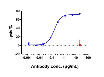 Anti-CD20 Reference Antibody (rituximab)
