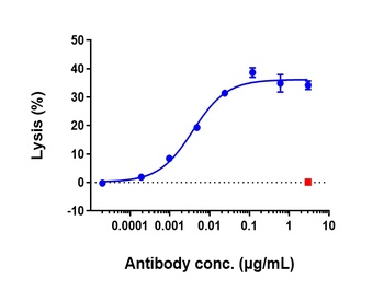 Anti-CD20 Reference Antibody (rituximab)
