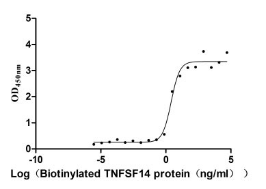 Recombinant Human Tumor necrosis factor ligand superfamily member 14 (TNFSF14), partial, Biotinylated (Active)