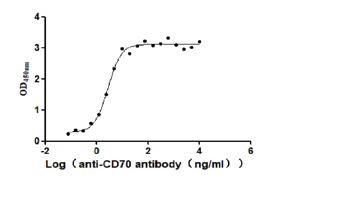 Recombinant Human CD70 antigen (CD70), partial (Active)