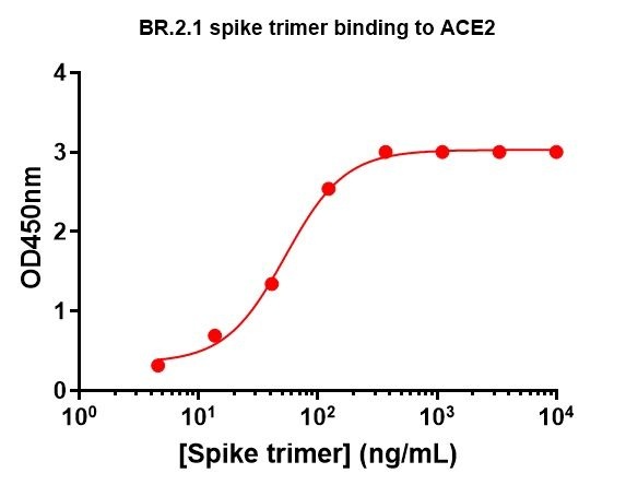 SARS-CoV-2 BR.2.1 Omicron Variant Recombinant Spike Trimer His Tag