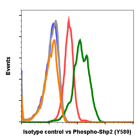 Isotype Control (G9) rabbit mAb