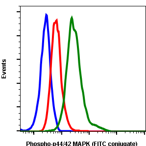 Phospho-p44/42 MAPK (Erk1/2) (Thr202/Tyr204) (A11) rabbit mAb FITC conjugate