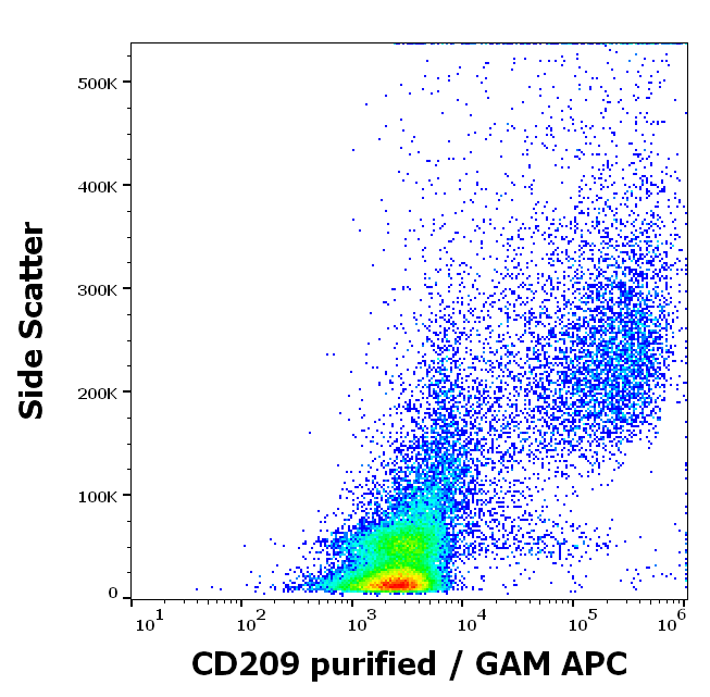 Anti-Hu CD209 Purified