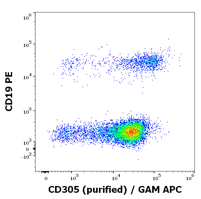 Anti-Hu CD305 Purified