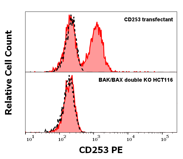 Anti-Hu CD253 PE