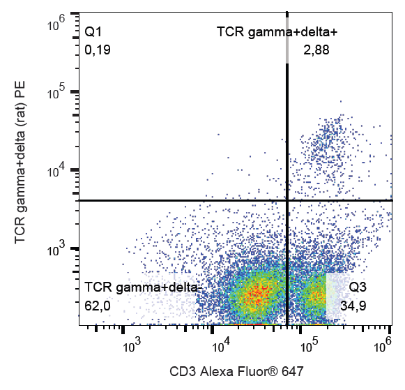 Anti-Rt TCR gamma/delta PE