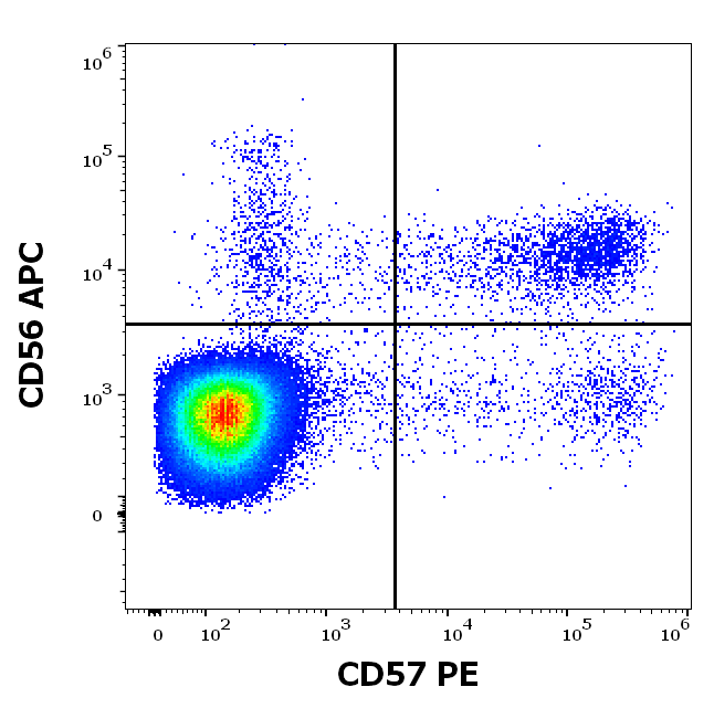 Anti-Hu CD57 PE