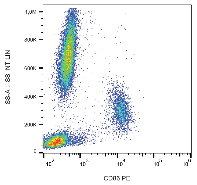 Anti-Hu CD86 PE