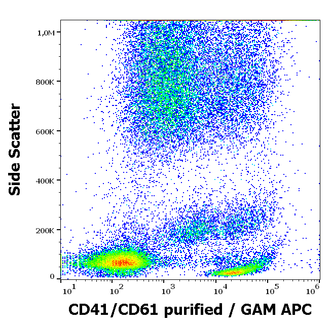 Anti-Bov CD41/CD61 Purified