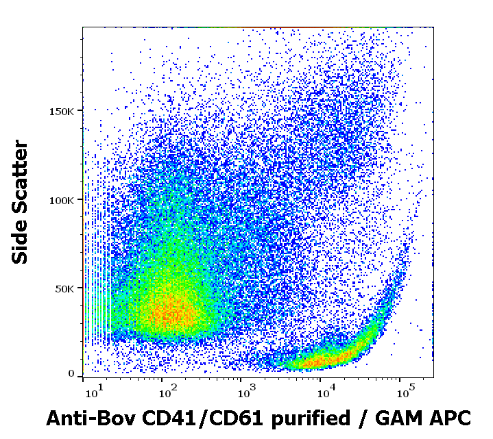 Anti-Bov CD41/CD61 Purified