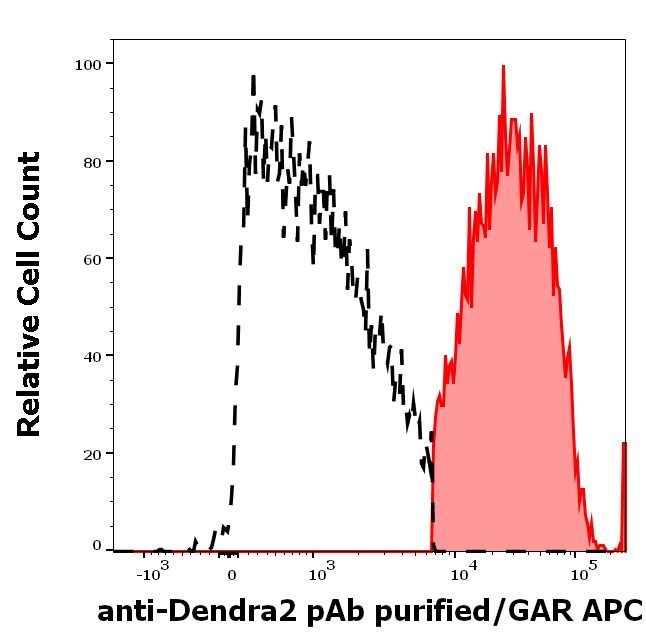 Anti-Dendra2 purified