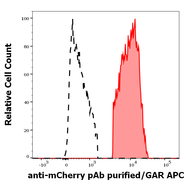 Anti-mCherry purified