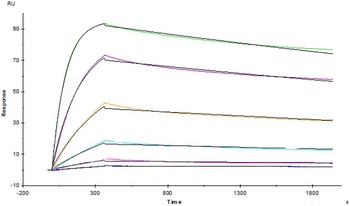Human TNF-alpha Protein, His Tag