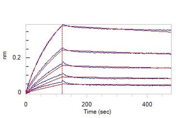 Mouse VEGF R2 Protein, mFc Tag