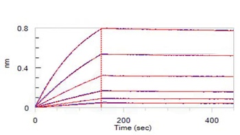 Human IL-5 Protein, His Tag