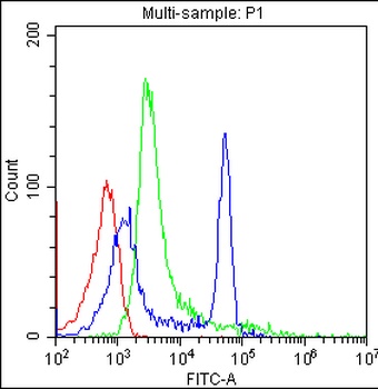 Anti-CD4 Antibody (Monoclonal, CA-4)