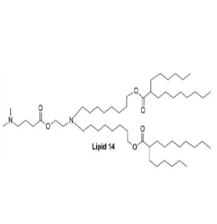 LIPID 14