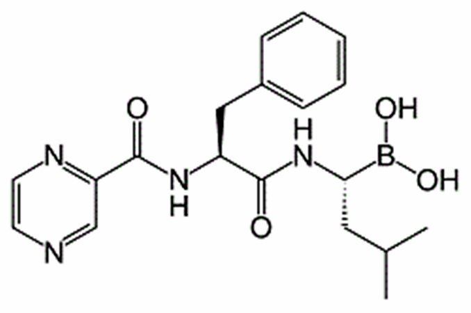 Bortezomib (Velcade,MG-341,PS-341)