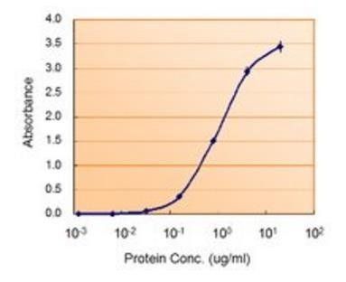 MAOB Antibody