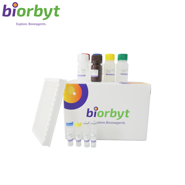 Plasmid Mini-Prep Kit - Column Kit