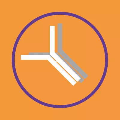 Choose the best Secondary Antibody