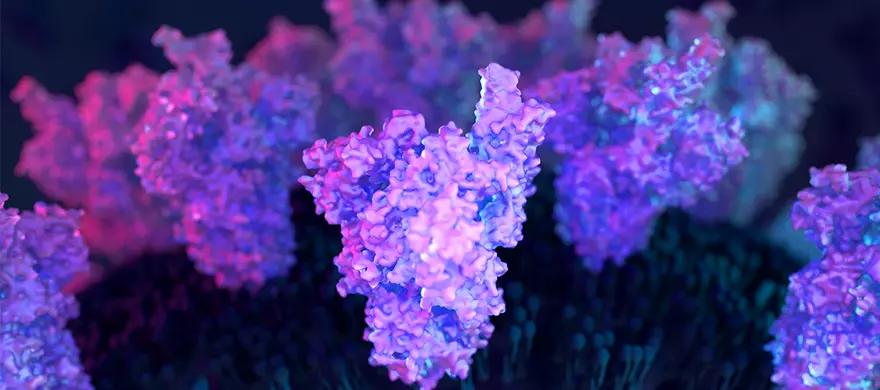 Variant spike protein