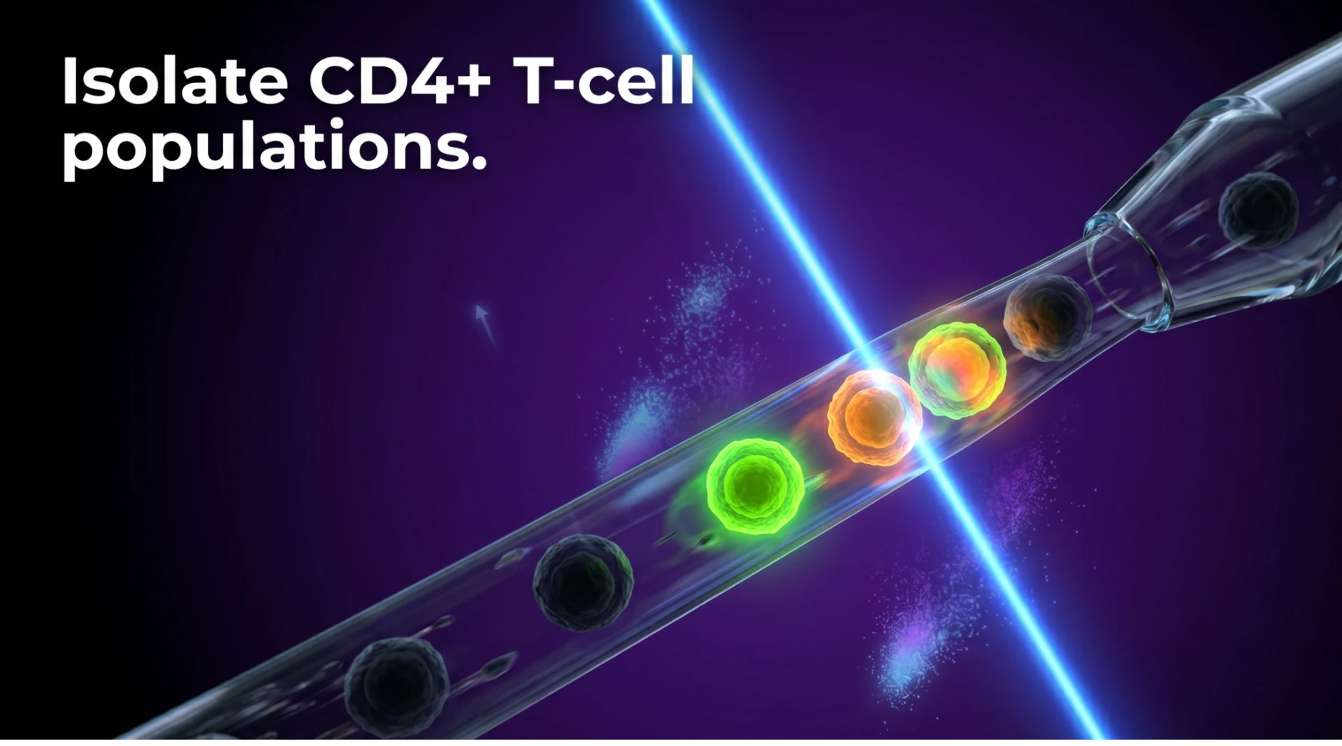 Essential CD4 T-Cell Markers